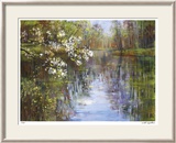 Spring Reflections I Innrammet trykk – spesialversjon av Carol Buettner Spring Reflections I Innrammet trykk – spesialversjon av Carol Buettner