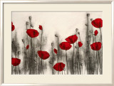 Coquelicots Affiches par Hans Andkjaer