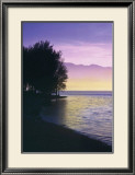 Idyllic Lake IV Affiches par Gerd Weissing