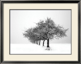 Winter Tree Line I Reprodukcje autor Ilona Wellmann
