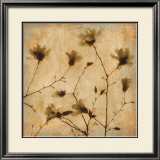 Magnolias II Prints by Caroline Kelly