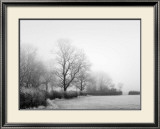 Misty Tree, Lined Field Julisteet tekijänä Stephen Rutherford-Bate