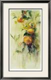 Golden Fruit Study III Limited Edition Framed Print by Allyson Krowitz