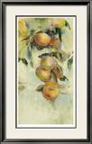 Golden Fruit Study I Limited Edition Framed Print by Allyson Krowitz