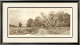 The Country Road in Sepia Art par C. Harry Eaton