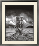 Stumped Posters av Thomas Barbey Stumped Posters av Thomas Barbey