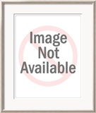 Summer Interlude Posters av George Botich Summer Interlude Posters av George Botich