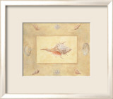 Shells II Plakater av Bell Shells II Plakater av Bell