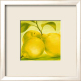 Citron Art par Susanne Bach