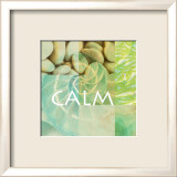 Reflections: Calm Poster von Jessica Vonammon