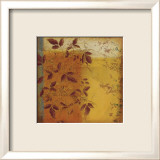 Spring Reflections II Láminas por Susan Osborne