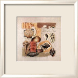 Coquillages Posters par Susan Zulauf