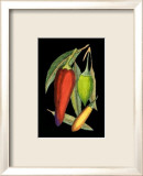 Piments forts I Affiches par Valentini 
