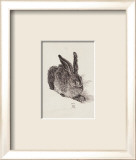 Hase - Nach Duerer Láminas por Zwicker Hase - Nach Duerer Láminas por Zwicker
