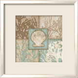 Coquillage II Posters par Sally Ray Cairns