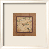 Outdoor Aviary II Prints by Pamela Gladding