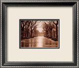 Rainy Day, Central Park Posters av Sergei Beliakov Rainy Day, Central Park Posters av Sergei Beliakov