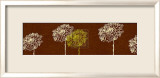Miyako I Posters av Alice Buckingham Miyako I Posters av Alice Buckingham