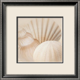 Shells III Posters par Jan Lens