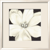 Fleur blanche Posters par Cristina Valades