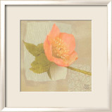 Hellebore I Póster por Philippe Paput Hellebore I Póster por Philippe Paput