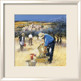 La Cueillette des Olives Poster by Andre Deymonaz