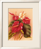 Anturios rojo y blanco Lámina giclée enmarcada por Frank Oda Anturios rojo y blanco Lámina giclée enmarcada por Frank Oda