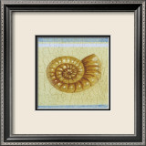 Coquille Affiches par Jose Gomez