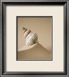 Mythic Beach IV Posters by Jeff Friesen