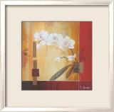Orchid Lines II Pósters por Don Li-Leger Orchid Lines II Pósters por Don Li-Leger