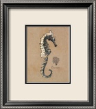 Vintage Linen Seahorse Láminas por Regina-Andrew Design