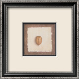 Nuez Arte por Vincent Jeannerot Nuez Arte por Vincent Jeannerot