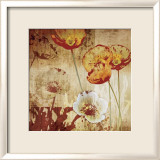 Poppy Heat I Arte por Tandi Venter