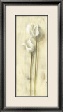 Fleurs blanches Posters par David Col