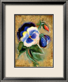 Pansy Framed Giclee Print by Marcella Rose