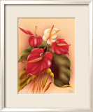Red and White Anthuriums Print by Frank Oda