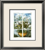 Daisies at the Window Affiches par Sonia P.