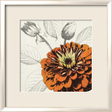 A Touch of Color I Lámina por Tandi Venter