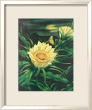 Cereus en floración con luna llena Lámina giclée enmarcada por Ted Mundorff Cereus en floración con luna llena Lámina giclée enmarcada por Ted Mundorff