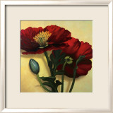 Poppies Print by Rachel Deacon