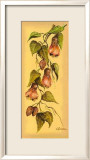 Flores Colgantes II Prints by L. Romero