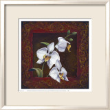 Etude d'une orchidée I Affiches par Thomas Wood
