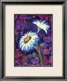 Daisy Framed Giclee Print by Marcella Rose