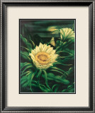 Blooming Cereus with Full Moon Posters par Ted Mundorff
