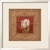 The Tulip Posters by Nan Nan