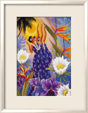 The Blossoms are Opening Affiches par Warren Rapozo