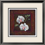 Orchid Study II Reprodukcje autor Thomas Wood Orchid Study II Reprodukcje autor Thomas Wood