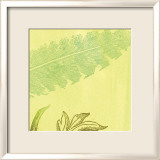 Feather Leaf Kunst af Swan Papel