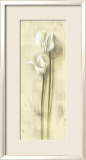 Fleurs blanches Affiches par David Col