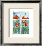 Poppies at the Window Arte por Sonia P. Poppies at the Window Arte por Sonia P.